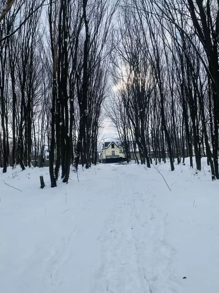 Продаж 6К будинок Львів, Конопниця