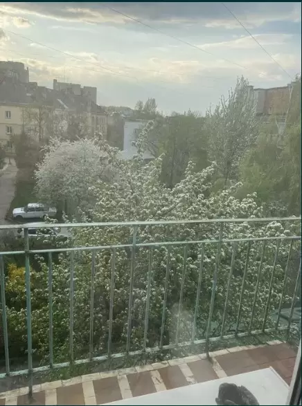 Оренда 3к квартири, вул. Золота, Галицький р-н