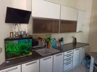 Ореда 2к Левицького