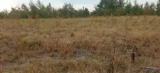ПРОДАЖ земельної ділянки с. Жорниська,Яворівського р-н Львівської області