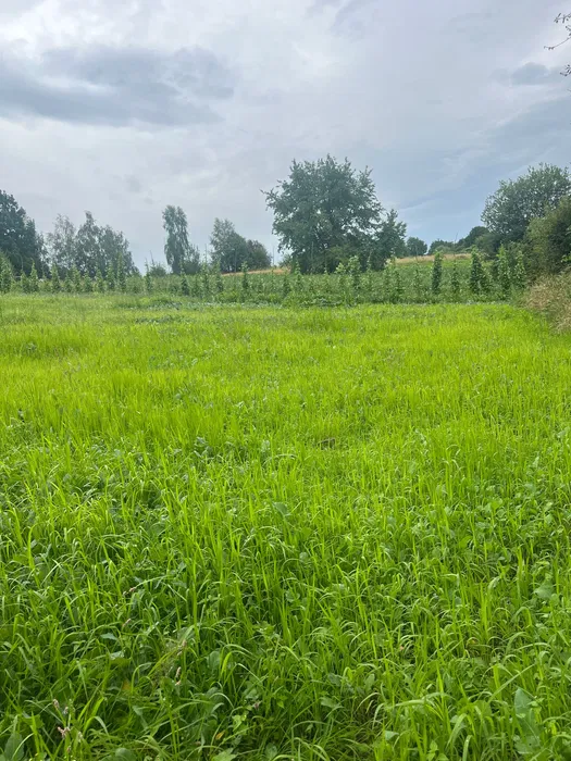 ПРОДАЖ земельна ділянка Брюховичі, Шевченківський р-н м. Львів