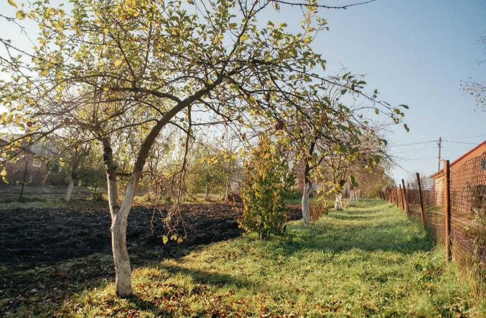 Продаж будинку в с. Давидів Львівської  області.