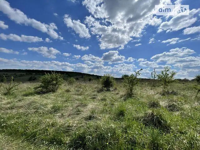 ПРОДАЖ земельної ділянки Давидів, Львівська область
