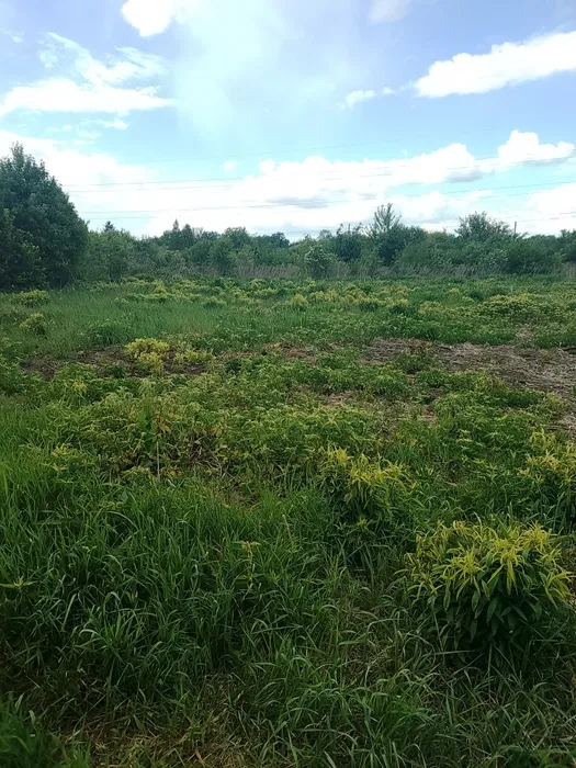 Продаж земельної  ділянки с. Жирівка, Львівської  області