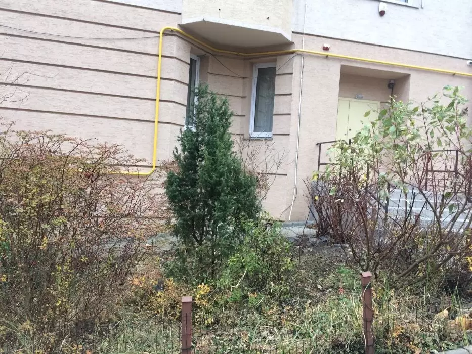 Оренда приміщення  на вул. Грабовського