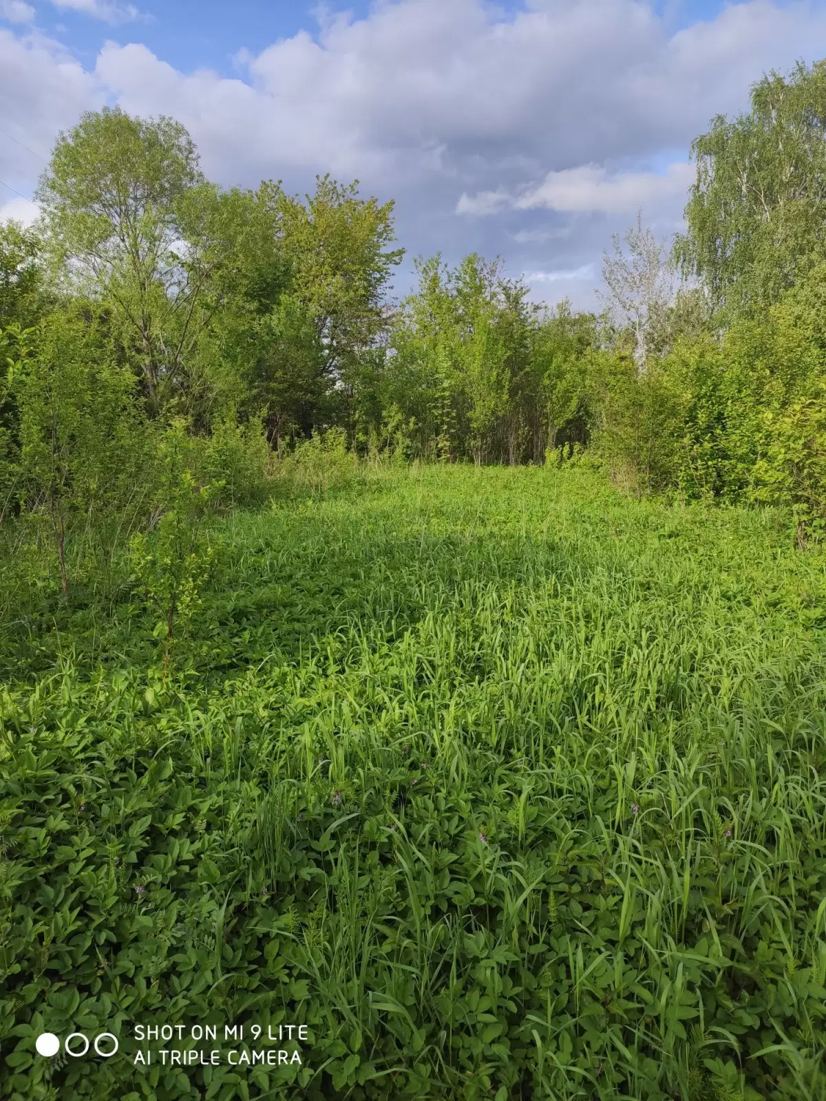 Продаж земля не під житлову забудову  Міжброди 