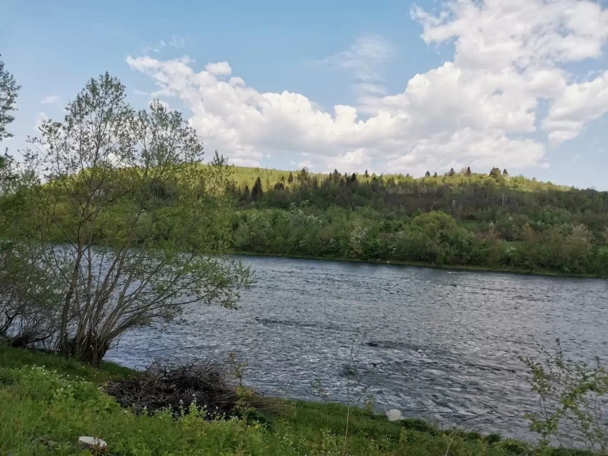 Продаж земля не під житлову забудову  Зубра 