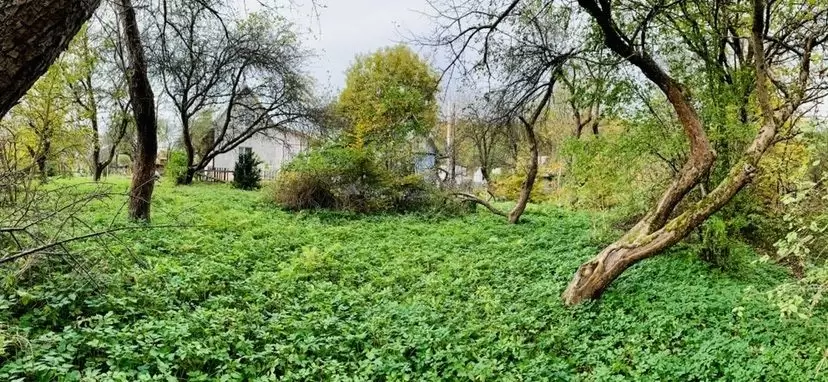 Продаж земля не під житлову забудову  Дрогобич, Дрогобич, Мазепи, 2 