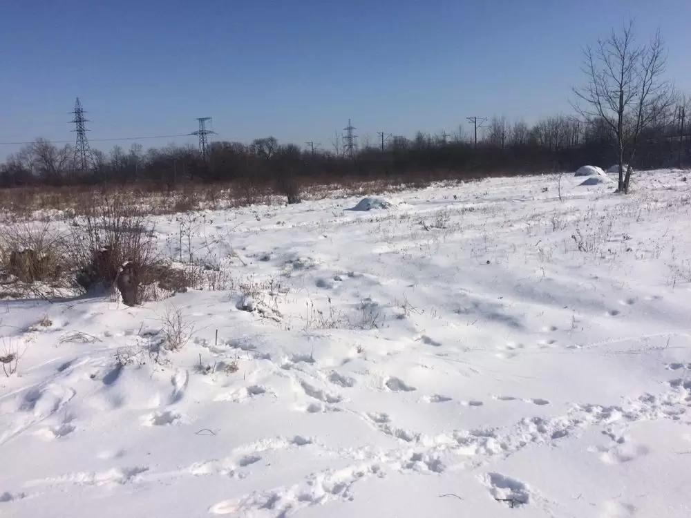 Продаж земля не під житлову забудову  Липівці 