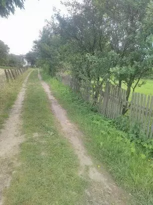 Продаж земля під житлову забудову  Стрий 