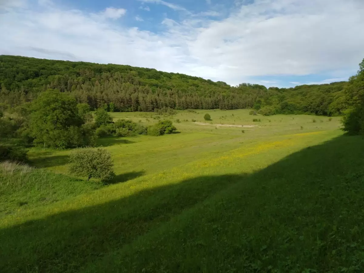 Продаж земля не під житлову забудову  Нестюки 