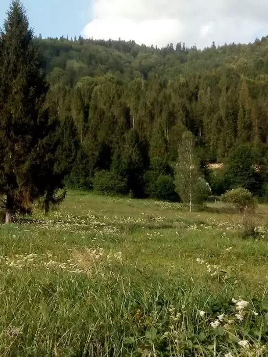 Продаж земля під житлову забудову  Сколе 
