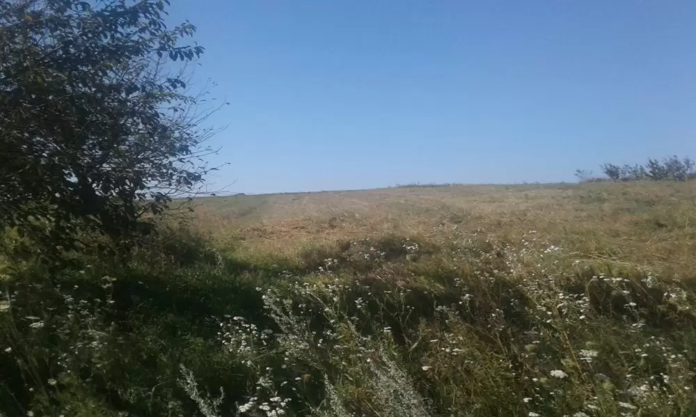 Продаж земля під житлову забудову  Мужиловичі 