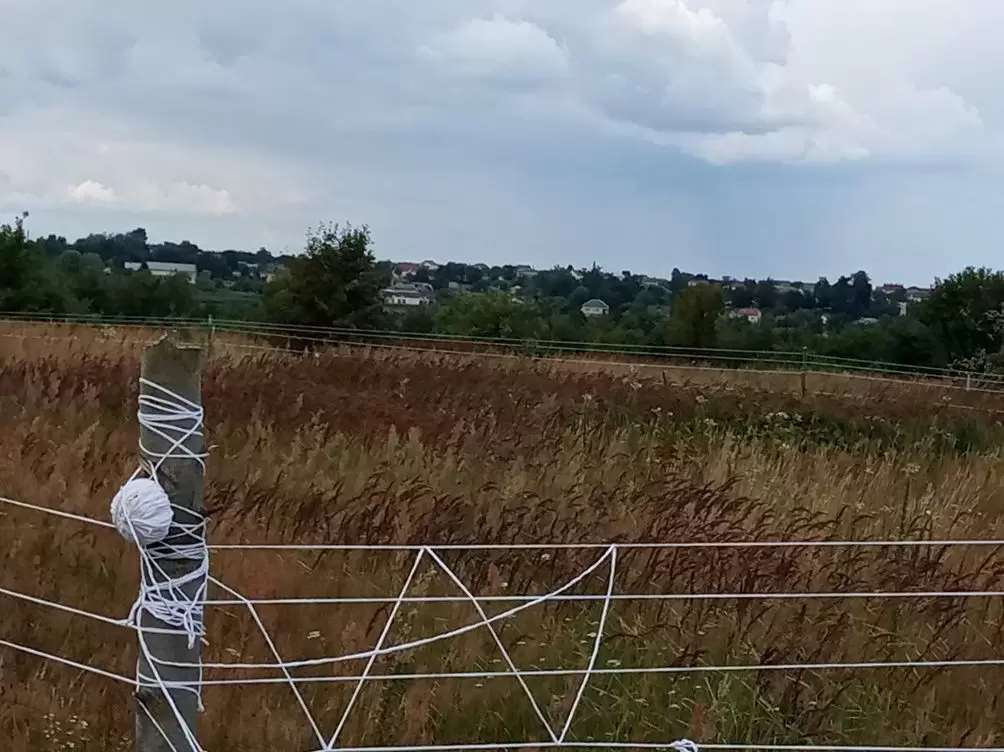 Продаж земля під житлову забудову  Добряни, Озерна 