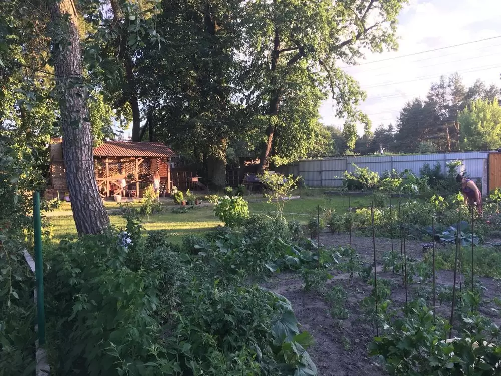 Продаж земля під житлову забудову  Брюховичі, вул Незалежності України 
