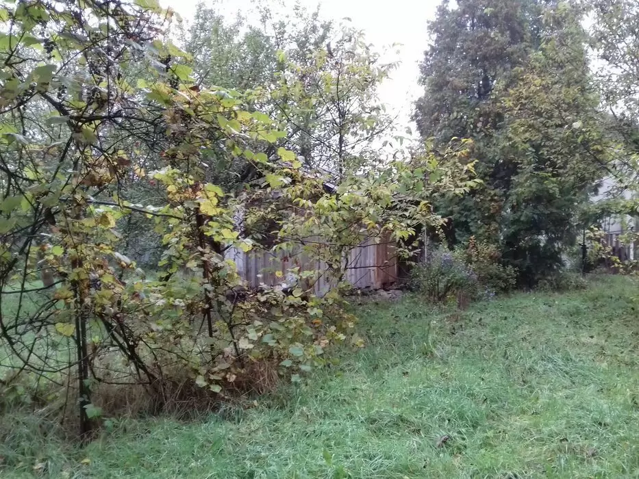 Продаж земля не під житлову забудову  Підбуж 