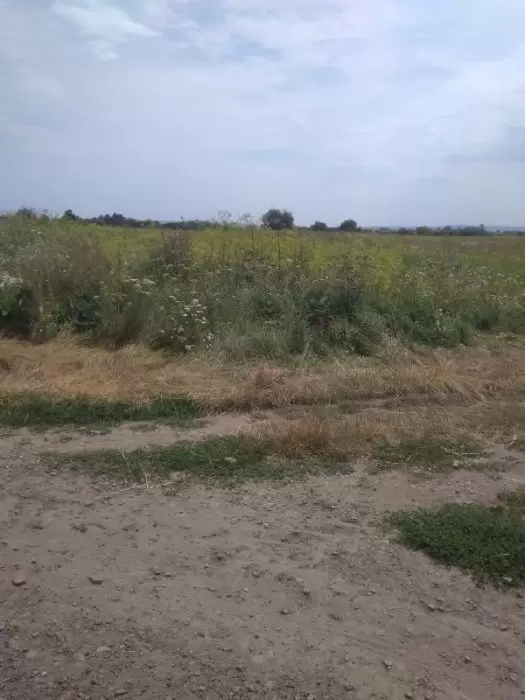 Продаж земля під житлову забудову  Підбуж 