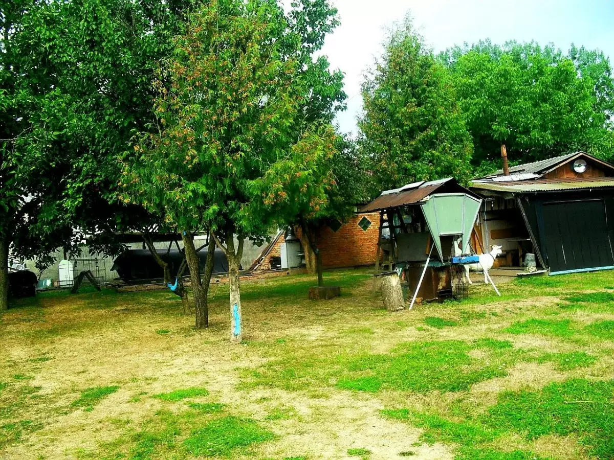Продаж земля під житлову забудову  Кам'янка-Бузька, вул Ліцейна 