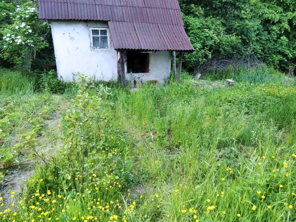 Продаж земля не під житлову забудову  Брюховичі, вул Отця Іздрика 