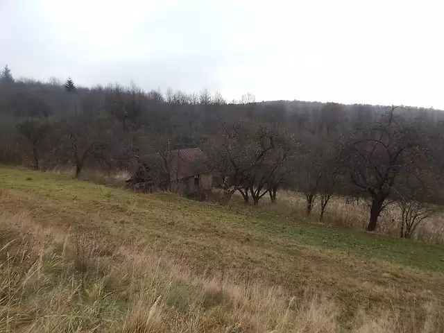 Продаж земля під житлову забудову  Жукотин, Центральна, 137 